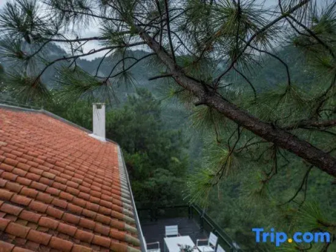 Waiyu Boutique Hostel