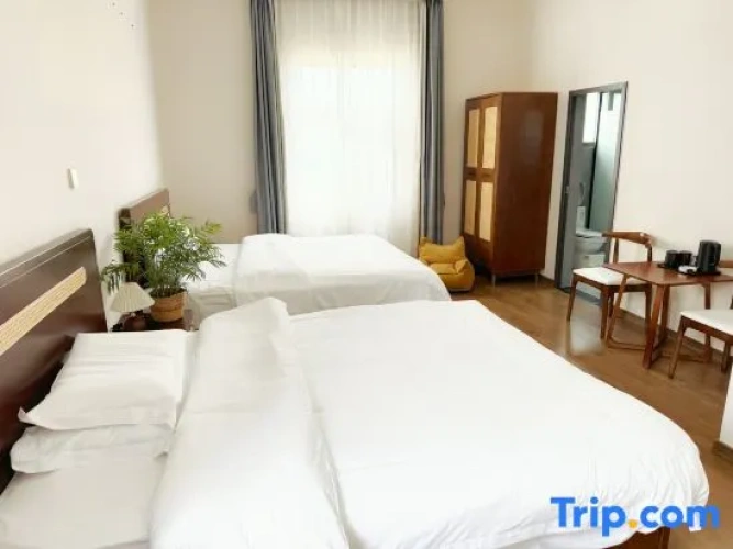 Standard Twin Family room