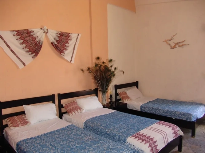 Standard Single room with balcony and with view