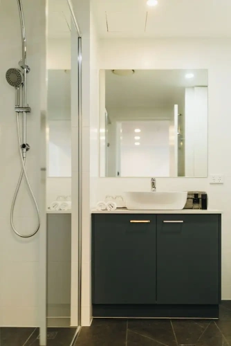 1 Bedroom Standard Apartment
