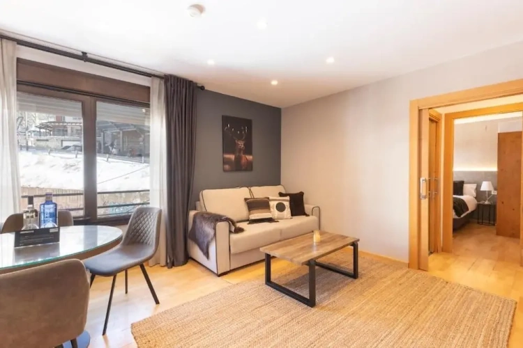 1 Bedroom Apartment