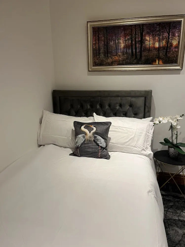 TJ Homes