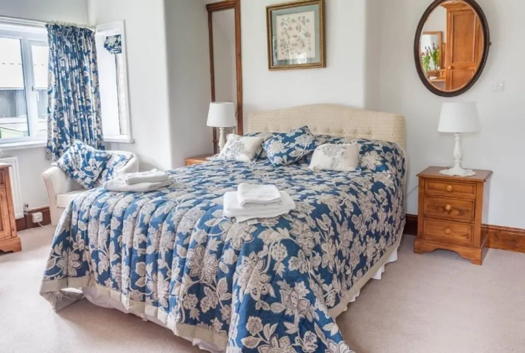 Deluxe Family room