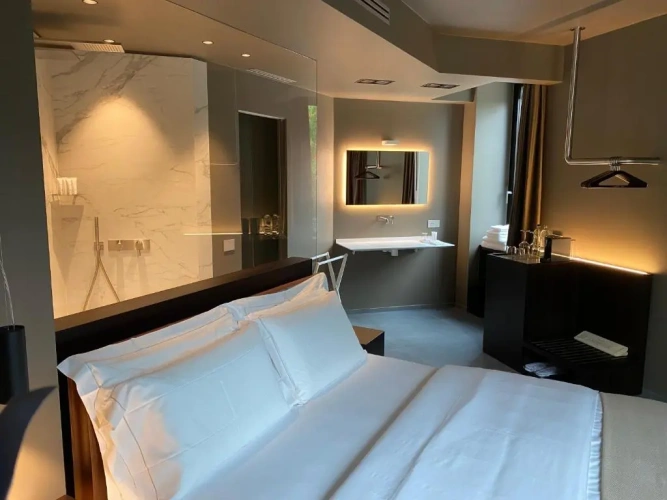 Deluxe Double room with balcony