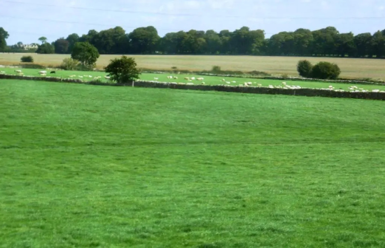 Windylands
