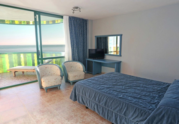 Kaktus Albir photo 6