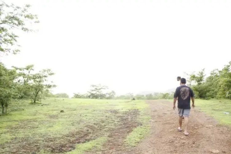 Sai Farms