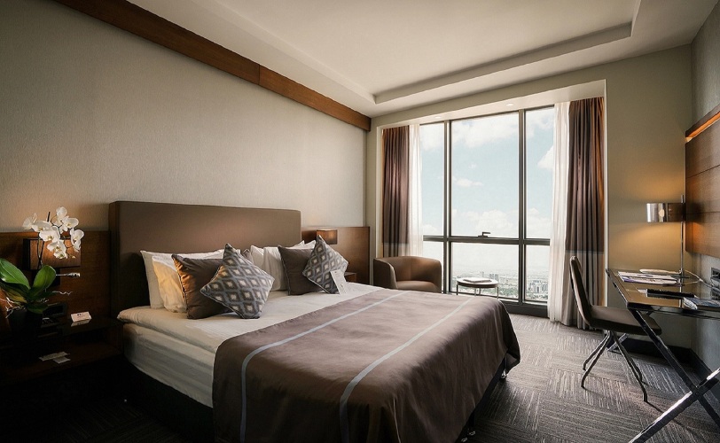 Point Hotel Ankara Over view