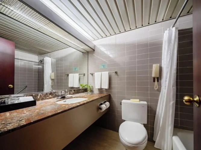 Deluxe Double room with city view