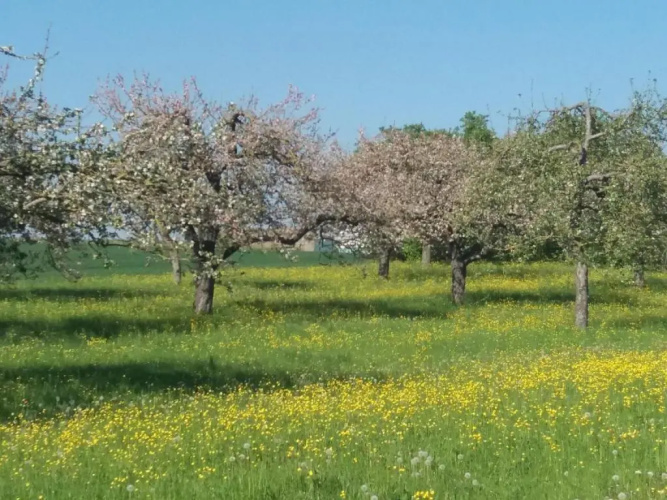 Ferienhof Arold