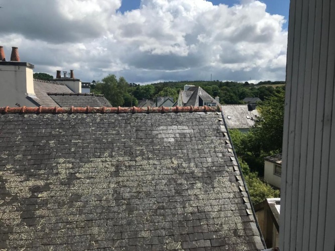 Standard Double room with garden view