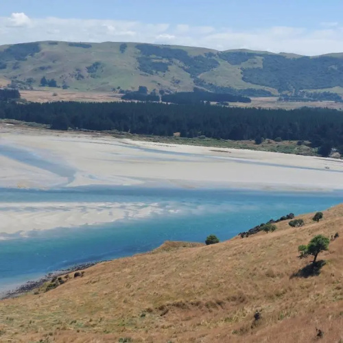 Otago Peninsula Paradise