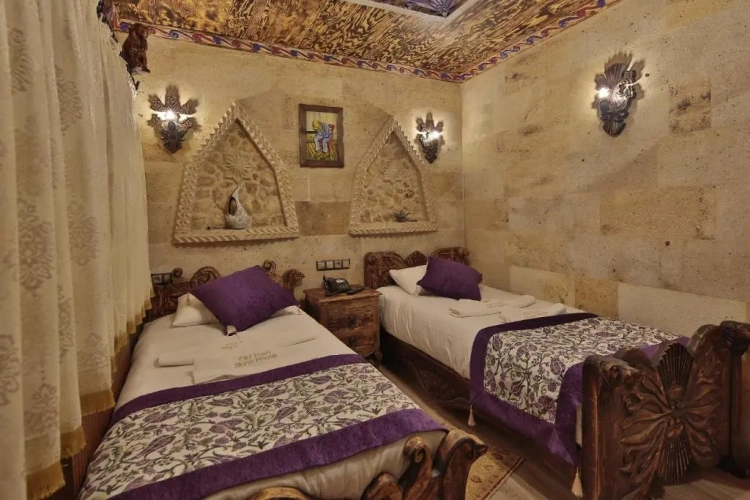 Standard Twin room with view