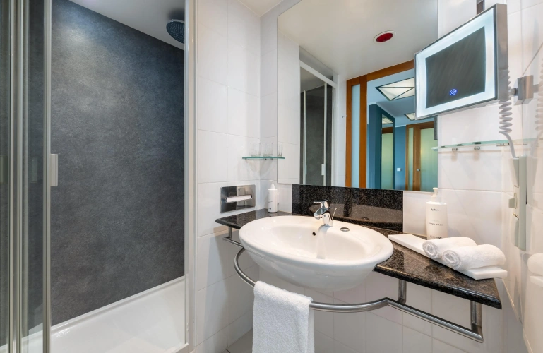 1 Bedroom Suite