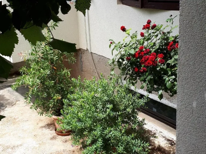 1 Bedroom Apartment with balcony and with garden view