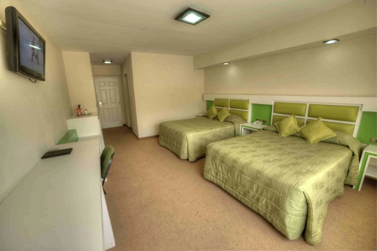 Standard Double room with mountain view