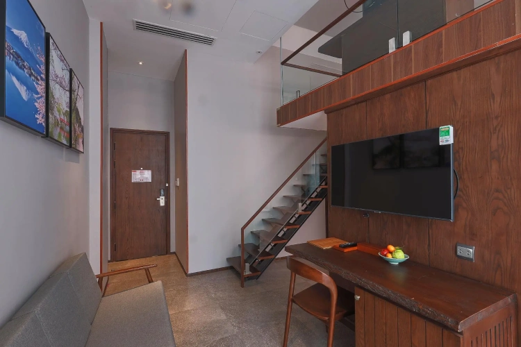 Single Suite