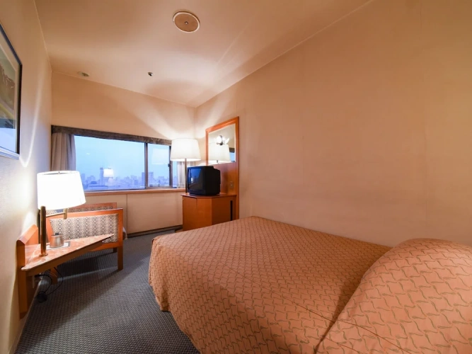 Economy Single room