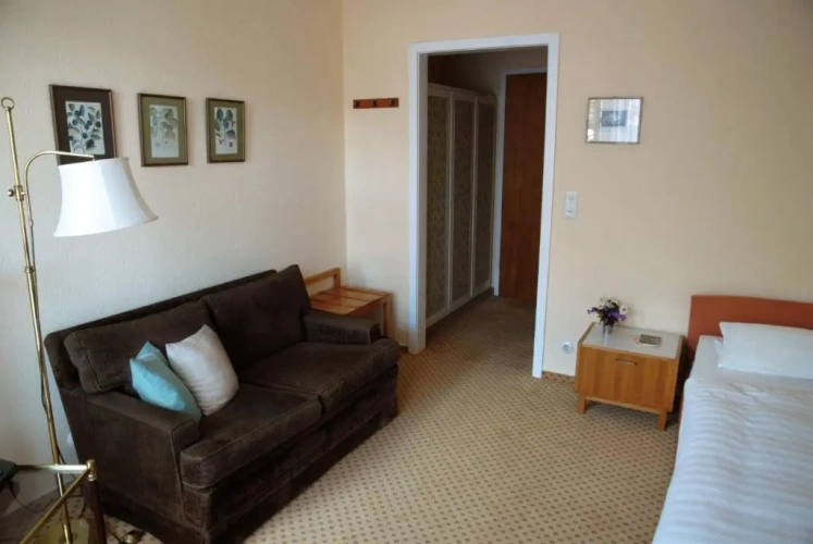 Standard Double room with balcony and with view
