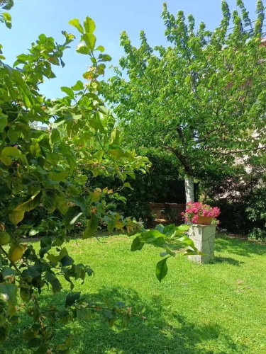 Appartamento con giardino a Boccadasse