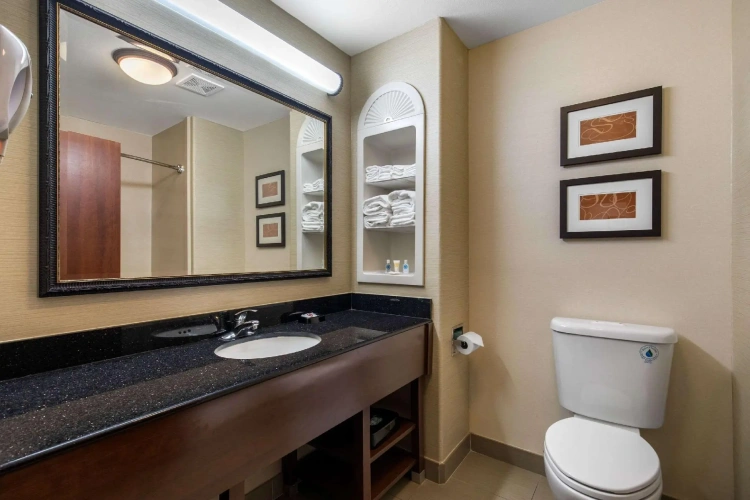 1 Bedroom Suite