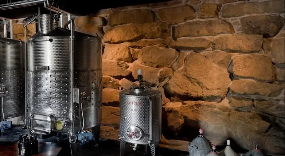 Podere di Pomaio Green Winery