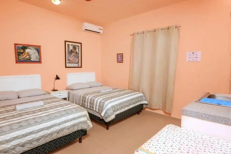 Standard Double room with garden view