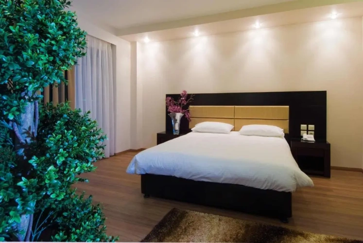 Standard Single room with balcony and with view