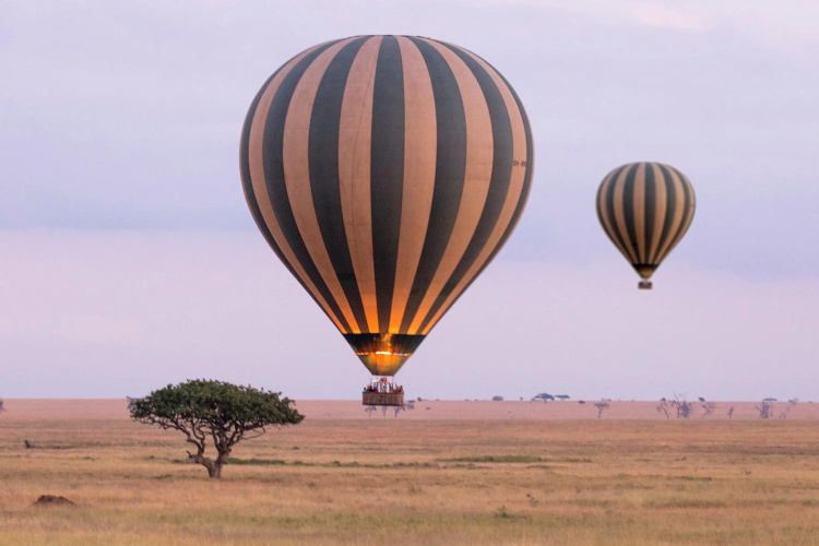 Meliá Serengeti Lodge Meliá Collection photo 25