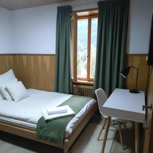 Standard Single room with mountain view