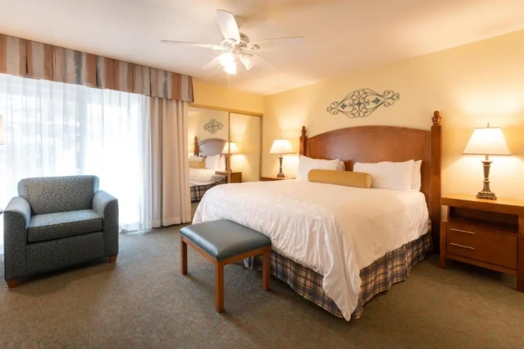 1 Bedroom Suite