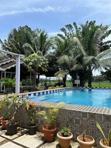 Golden Rice Resort