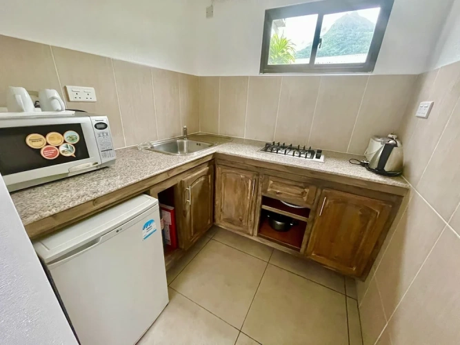 1 Bedroom Standard Double room