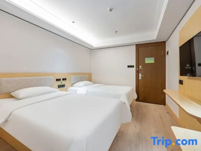 Standard Twin room with city view