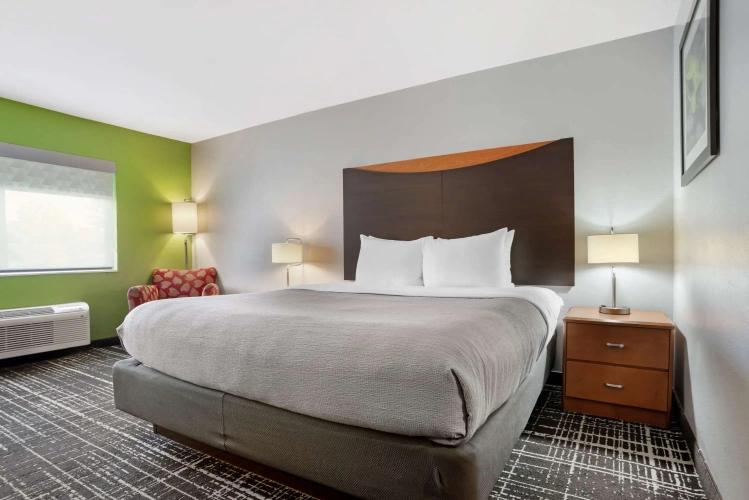 Standard Double room
