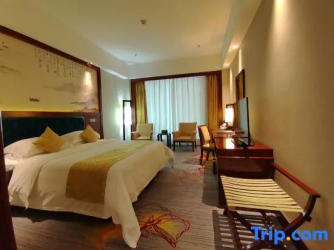 Business Double room with city view