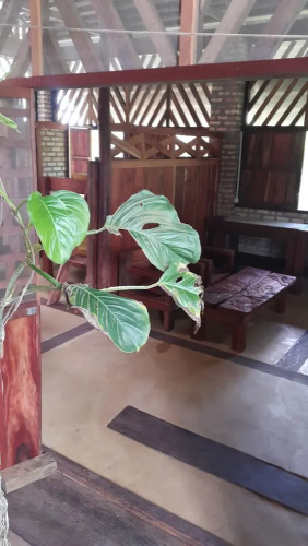 Casa de los Micos Leticia