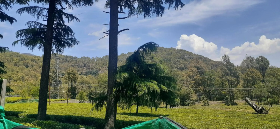 Hotel Goludev Valley View