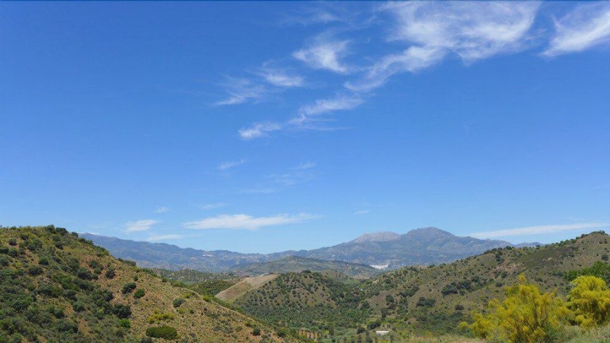 Corazón Andaluz Guesthouse