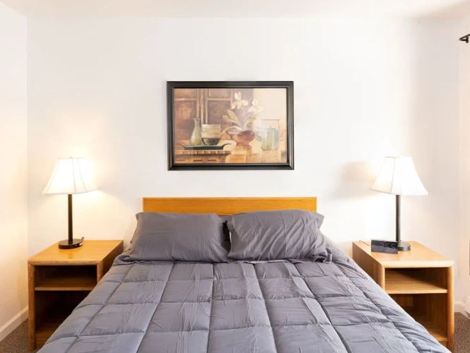 1 Bedroom Standard Double room