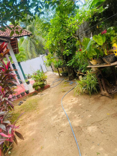 Kavindi Guest