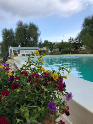 B&B Terre di Kalia