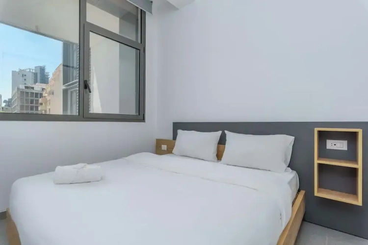 1 Bedroom Apartment with city view