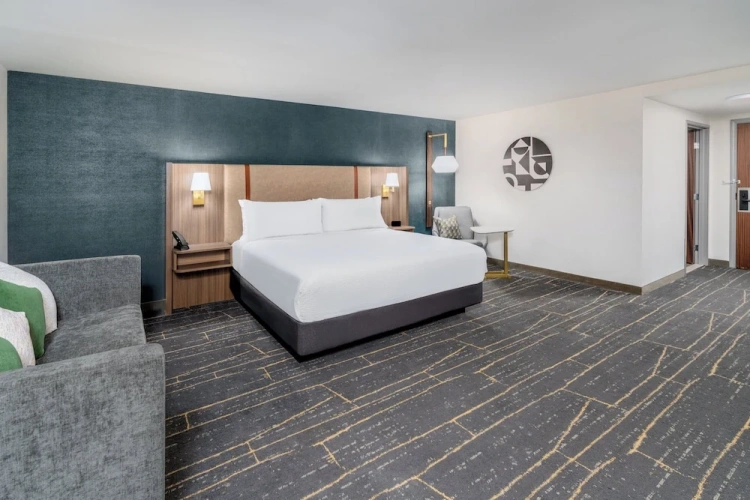 1 Bedroom Suite