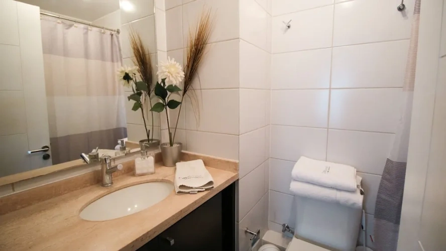 1 Bedroom Standard Apartment