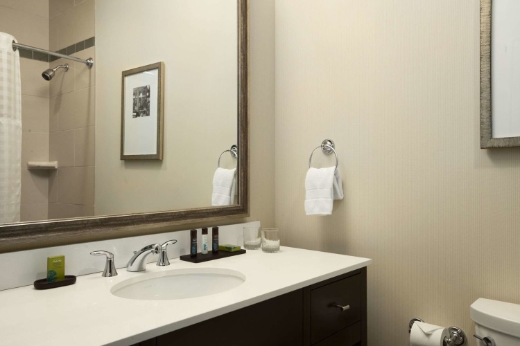 Embassy Suites by Hilton St. Louis Downtown photo 11