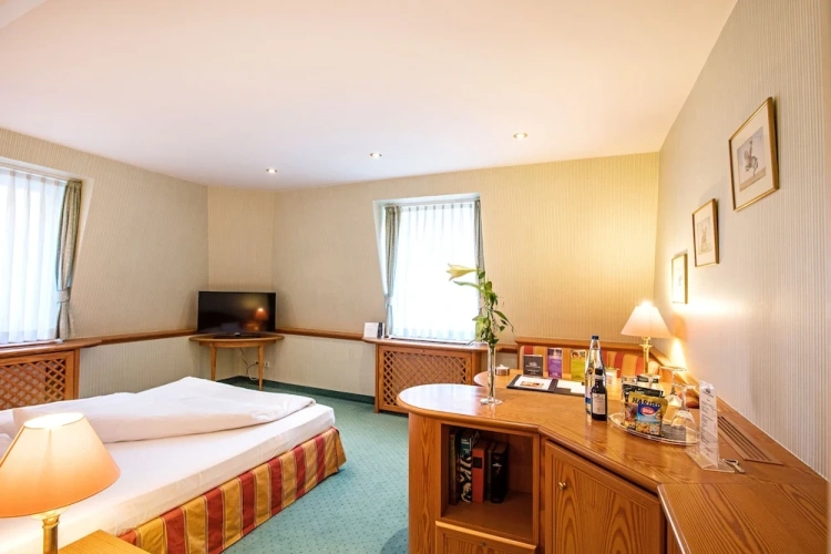Classic Single room