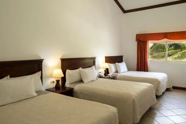 Deluxe Triple room