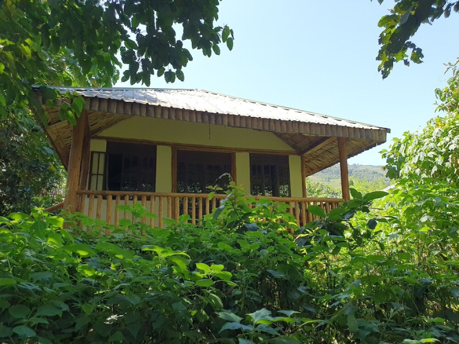 The Gorilla Resort