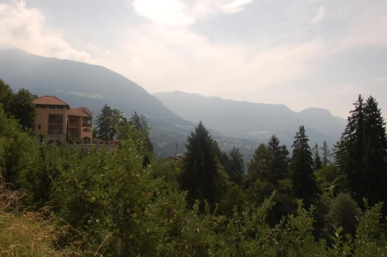 1 Bedroom Apartment with garden view